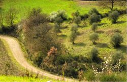 Uno scorcio delle campagne intorno a San Donato in Collina a sud-est di Firenze in Toscana