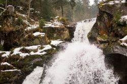 Uno scorcio delle cascate a Triberg, Foresta Nera, Germania. Sono fra le più alte del paese con una discesa di 163 metri.
