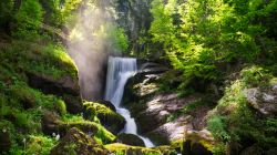 Uno scorcio delle cascate di Triberg, Foresta Nera, con i vapori dell'acqua (Germania).



