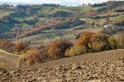 Uno scorcio delle colline del Montefeltro che circondano Mondaino al confine tra Romagna e Marche