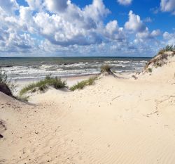 Uno scorcio delle dune baltiche su una spiaggia di Nida, Lituania - © Virginija Valatkiene / Shutterstock.com