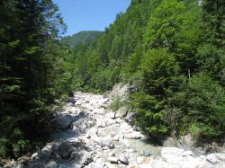 Uno scorcio delle gole Garnitzenklamm vicino al villaggio di Hermagor, Carinzia, Austria.
