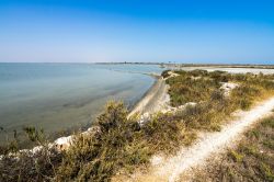 Uno scorcio delle Saline di Margherita di Savoia le più importanti della Puglia, a sud del Gargano