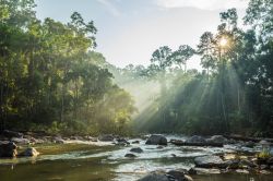 Uno scorcio dell'Endau Rompin National Park, al confine fra Johor e Pahang, Malesia. E' il secondo parco nazionale della penisola malesiana con un'area di circa 80 mila ettari.

 ...