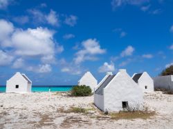 Uno scorcio dell'isola di Bonaire, Antille olandesi.
