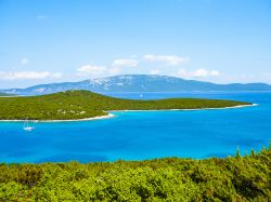 Uno scorcio dell'isola di Cres, arcipelago del Quarnero, Croazia. Situata a pochi chilometri di distanza dall'Istria, si estende per circa 405 km quadrati. Assieme alla vicina isola ...