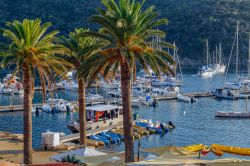 Uno scorcio dell'isola di Port Cros nel parco nazionale di Hyères, Francia. Quest'isolotto di 7 km quadrati di superficie appartiene all'arcipelago di Hyères.

