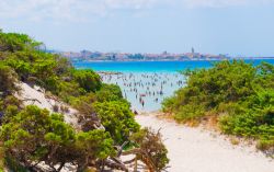 Uno scorcio di Alghero con dune e spiaggia di sabbia (Sardegna). La città di Alghero si trova sulla costa della Riviera del Corallo che offre tratti di splendide spiagge fra cui quelle ...