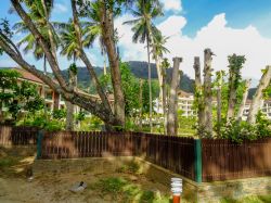 Uno scorcio di Beau Vallon Beach a Victoria, Seychelles. Questa località a nord ovest dell'isola si può raggiungere facilmente in una quindicina di minuti dalla capitale Victoria ...