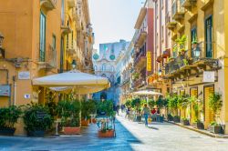 Uno scorcio di corso Vittorio Emanuele a Trapani in Sicilia - © trabantos / Shutterstock.com