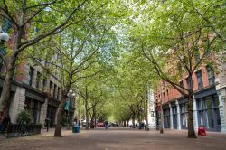 Uno scorcio di Occidental Avenue a Seattle, Washington. Occidental Park è il cuore del distretto storico di Pioneer Square, costruito nel 1971 in occasione della ristutturazione generale ...