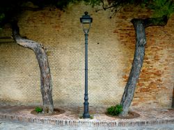 Uno scorcio di Senigallia, un lampione tra due pini contorti