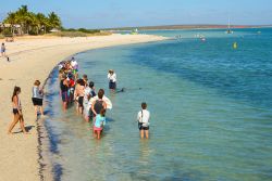 Uno scorcio di Shark Bay a Monkey Mia, Australia. ...