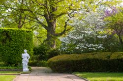 Uno scorcio di un parco pubblico di Cleveland, Ohio, con piante fiorite in primavera (USA).

