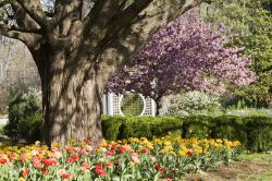 Uno scorcio fiorito del parco agli Inniswood Gardens di Westerville, nei pressi di Columbus (stato dell'Ohio).
