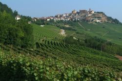 Uno scorcio fotografico del villaggio di La Morra, Cuneo, Piemonte. La produzione di vini è l'attività principale di questo angolo della provincia cuneese: il vitigno più ...
