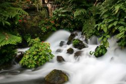 Uno scorcio paesaggistico del fiume e della cascata nella foresta di Uruapan, Messico.
