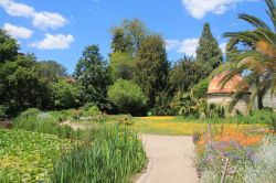Uno scorcio panoramico del giardino botanco di Montpellier in estate, Occitania (Francia).

