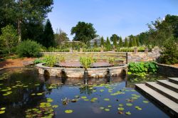 Uno stagno nei giardini dedicati a Sarah P Duke a Durham, Stati Uniti d'America.
