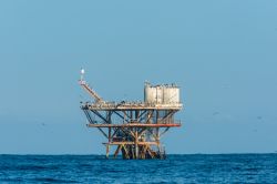 Uno stormo di uccelli su una piattaforma petrolifera al largo del mare, Piura, Perù. Il primo europeo a raggiungere questa località fu Francisco Pizarro che ne fondò il ...