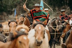 Un uomo cileno cavalca il suo cavallo durante una tradizionale manifestazione estiva a Pichilemu - © Pablo Rogat / Shutterstock.com