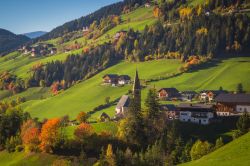 La Val di Funes in Trentino Alto Adige, Italia. Colori autunnali per la natura nei pressi di Santa Maddalena con le cime delle Odle sullo sfondo.



