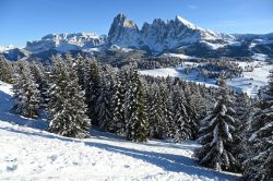 Val Gardena, lo spettacolo unico dell'Alpe di Siusi in inverno. - © Foto S. Vietto Ramus e Massimo Valentini