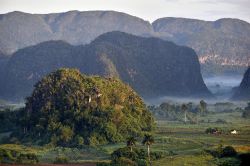 La splendida Valle de Viñales (Cuba) al mattino, con la nebbia che si insinua tra i mogotes, sopra i campi di tabacco e caffè.