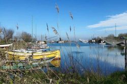 Valle e capanni da pesca vicino a Casalborsetti in Emilia-Romagna - © Caludio Tabanelli