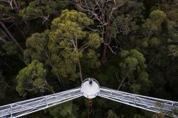 Valley of the Giants Tree Top Walk - © Tourism Western Australia