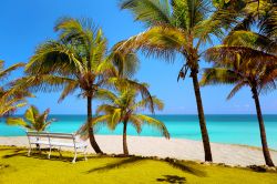 Lo scenario paradisiaco della spiaggia di Varadero (Cuba): acque turchesi dell'Oceano Atlantico, sabbia dorata e palme.