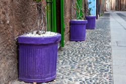 Vasi colorati in un vicolo di Sassari, Sardegna.



