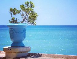 Vaso di terracotta sulla passeggiata di Torremolinos, Spagna. Azzurro come le acque limpide e trasparenti del Mediterraneo: questo bel vaso sembra quasi ammirare il mare - © stuart.renneberg ...