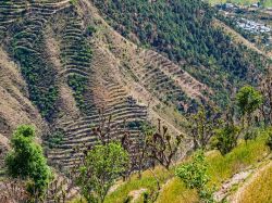 Veduta aerea della regione himalayana nel distretto di Chamba, Himachal Pradesh, India. Questo lembo di terra, che ha come capoluogo l'omonima cittadina, conta oltre 430 mila abitanti.
 ...