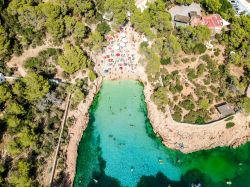 Veduta aerea della spiaggia di Cala Gracioneta ...