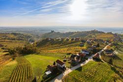 Veduta autunnale di Lendava immersa fra i vigneti dalla torre di osservazione, Slovenia.
