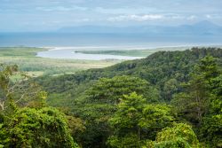 Veduta dall'alto del Daintree National Park a Cape Tribulation, Australia. Foresta e spiaggia rendono questo luogo particolarmente suggestivo.
