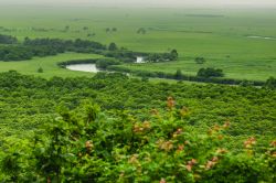 Veduta dall'alto della Marsh Area di Kushiro, Giappone. Questa immensa palude che si estende a nord di Kushiro si sviluppa per 183 chilometri quadrati e ospita duemila varietà di ...