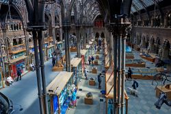 Veduta dall'alto dell'interno del Museo di Storia Naturale di Oxford, Inghilterra (UK). La sua fondazione risale al 1860 - © A G Baxter / Shutterstock.com