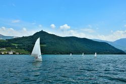 Veduta del lago Caldaro, Trentino Alto Adige. Grazie alle sue caratteristiche naturali, il lago favorisce attività sportive come il windsurf e la barca a vela.



