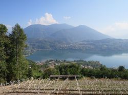 Veduta del lago di Caldonazzo da Levico, Trentino. Assieme a quello di Levico, questi due bacini sono considerati i più caldi del centro-sud Europa. A separarli è il Colle di Tenna.



 ...