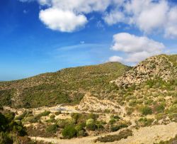 Veduta del monte Arci nei pressi di Masullas, Sardegna. Questo massiccio isolato si erge nella piana di Uras nella pianura del Campidano. Alle sue falde si trova una gran quantità di ...