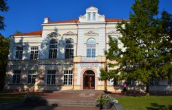 Veduta della Didzdvaris Gymnasium School of General Education a Siauliai, Lituania. Qui si possono frequentare corsi di laurea internazionale - © meunierd / Shutterstock.com