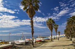 Veduta della spiaggia di Cogoleto con le barche da pesca in secca, Liguria. A fare da cornice una bella passeggiata con palme.

