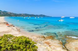 Veduta della spiaggia di Saleccia vicino a Saint Florent, Corsica, Francia. Mare cristallino per le acque che lambiscono questa lingua di sabbia circondata da un paesaggio mozzafiato.


