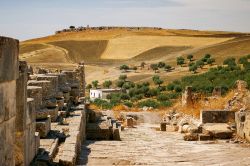 Veduta delle rovine di Dougga con colline dorate sullo sfondo, Tunisia.
