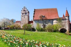 Veduta di un antico castello nella città di Donauworth, Germania. In primo piano, un prato con fiori colorati.

