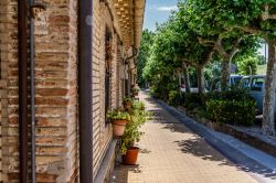 Veduta di una strada di Olite, Navarra, Spagna: siamo in un borgo medievale ospitato nella provincia di Navarra.



