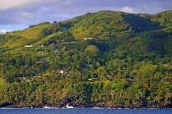 Veduta mattutina di Adamstown sulla Pitcairn Island, Oceania. Si tratta dell'ultimo territorio britannico nel sud Pacifico. La città di Adamstown sorge in cima alla collina arroccata ...