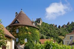 Veduta panoramica dal centro di Durnstein sulle rovine del castello, valle del Danubio (Austria). 
